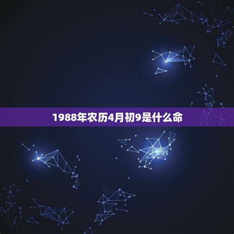 1988年什么命